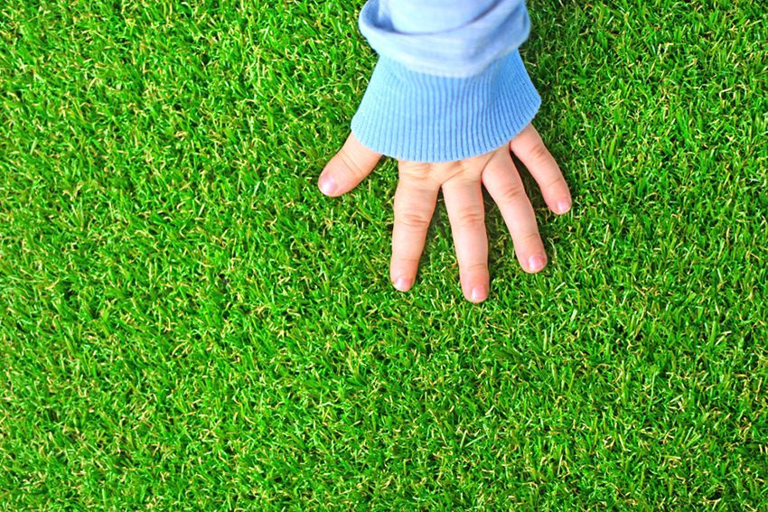 A Person's Hand is Laying on Top of a Lush Green Field of Grass — HMJ Landscapes in Broadbeach, QLD