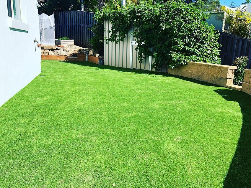 A Lush Green Lawn in a Backyard — HMJ Landscapes in Broadbeach, QLD
