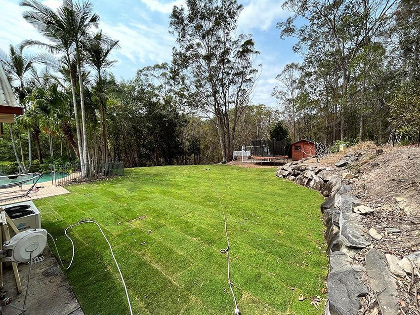 A Large Lush Green Lawn Surrounded by Trees and Rocks — HMJ Landscapes in Palm Beach, QLD