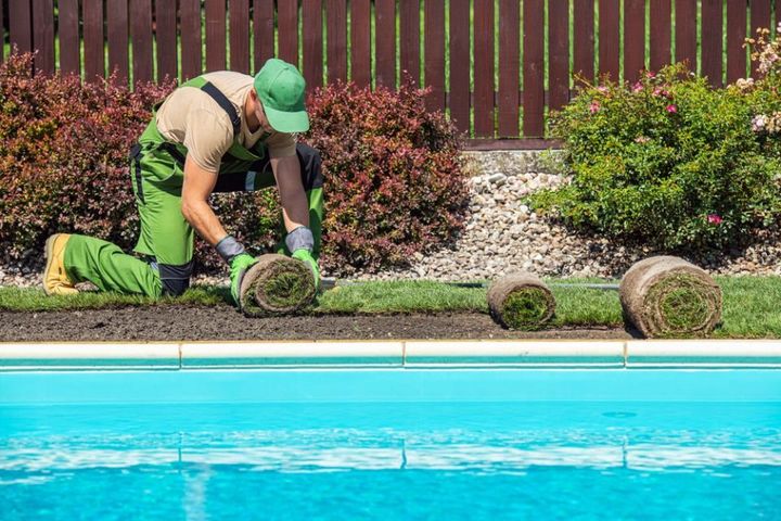 New Grass Turfs Installation Along Side of Garden Outdoor Swimming Pool