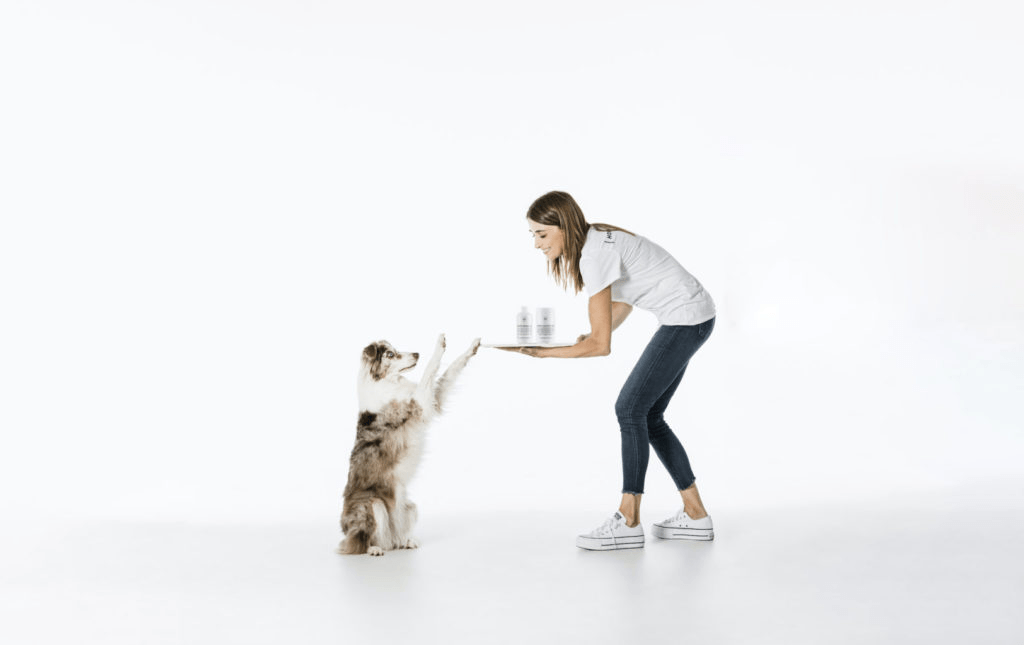 hemp seed oil for dogs