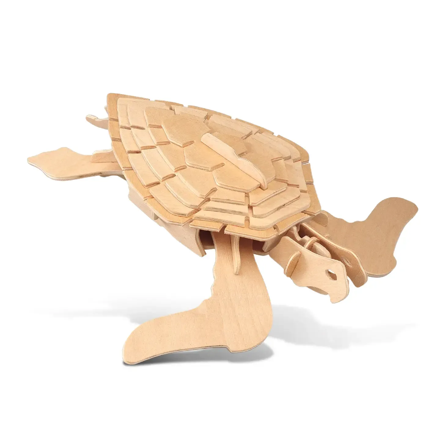 CTG 1223 3D Puzzle Green Turtle