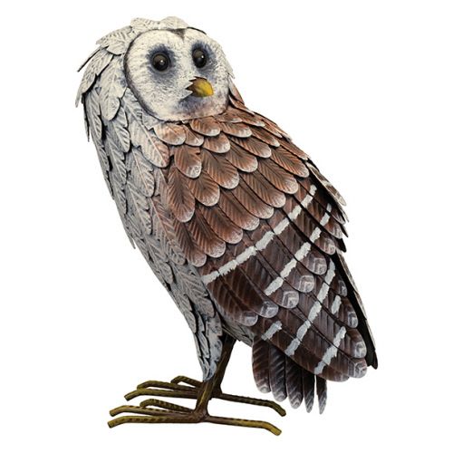 Barn Owl - Standing