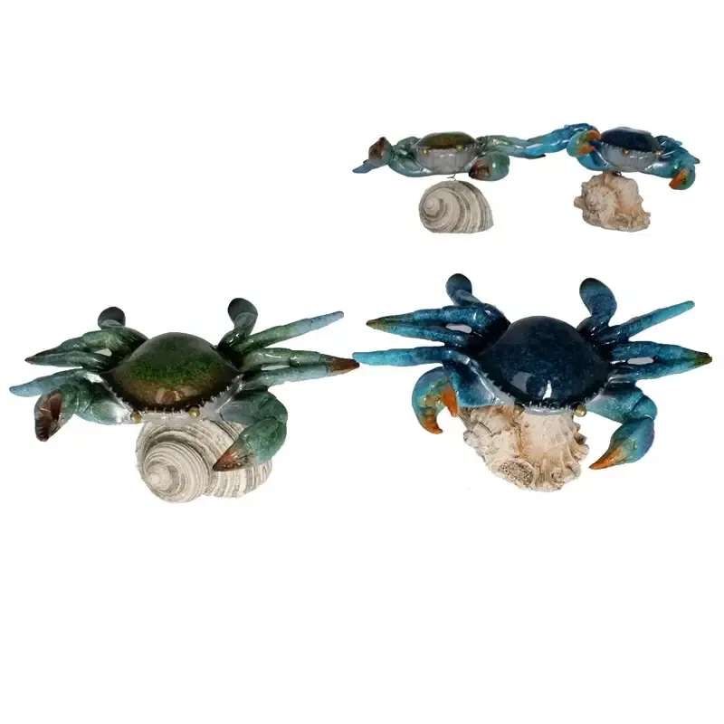 Crab on Shell 5.25