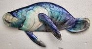 KK BWC-18MA Manatee Capiz Blue Wall Decor