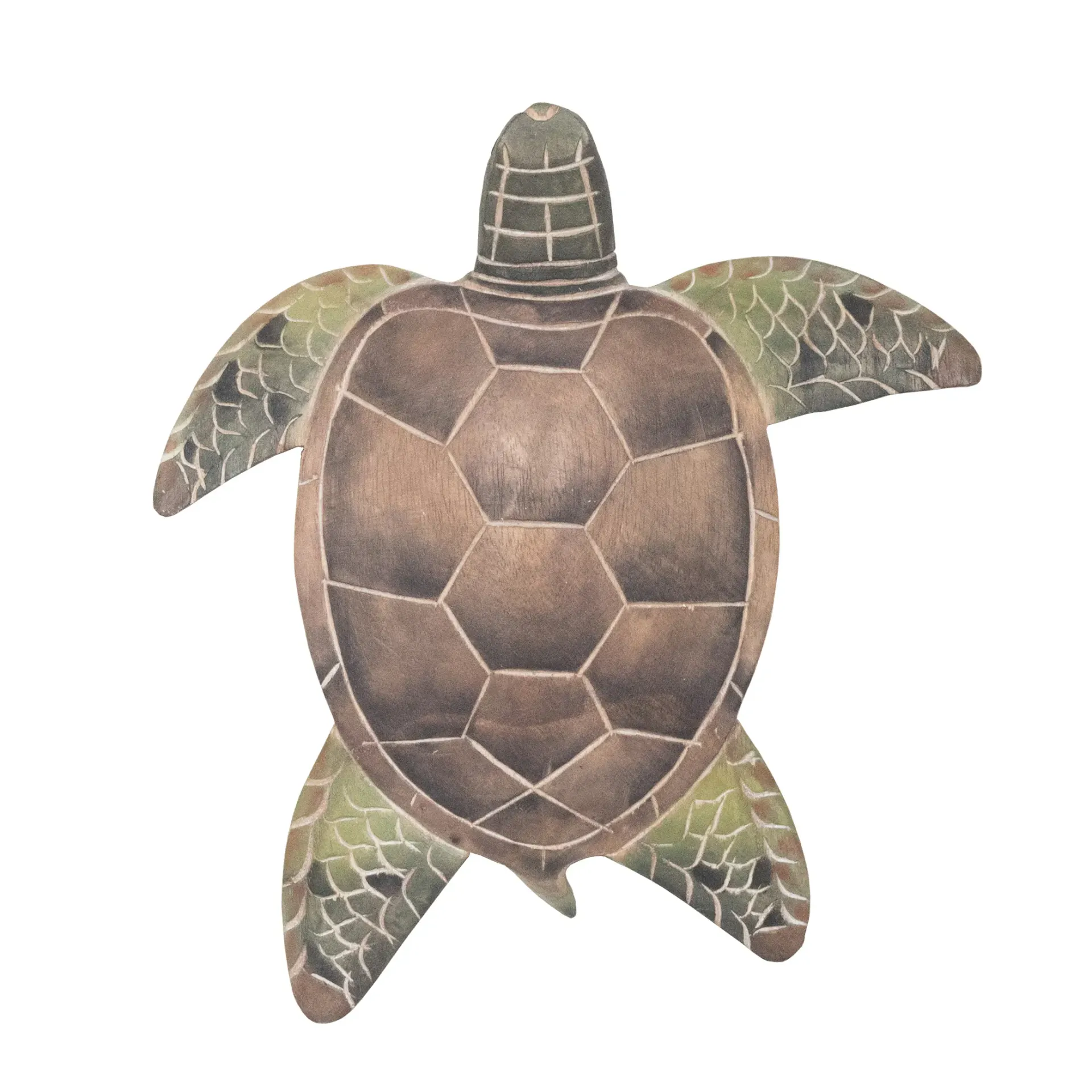 Large Grean Sea Turtle Wall