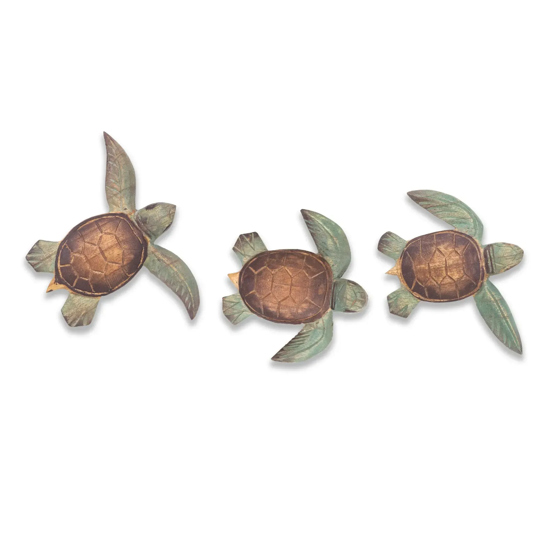 Baby Turtles Set of 3