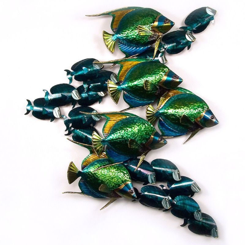 Angelfish school w/Tangs