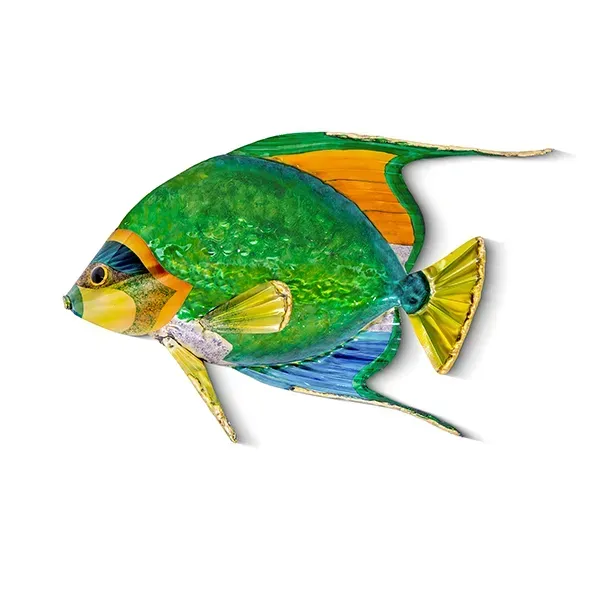 Queen Angelfish