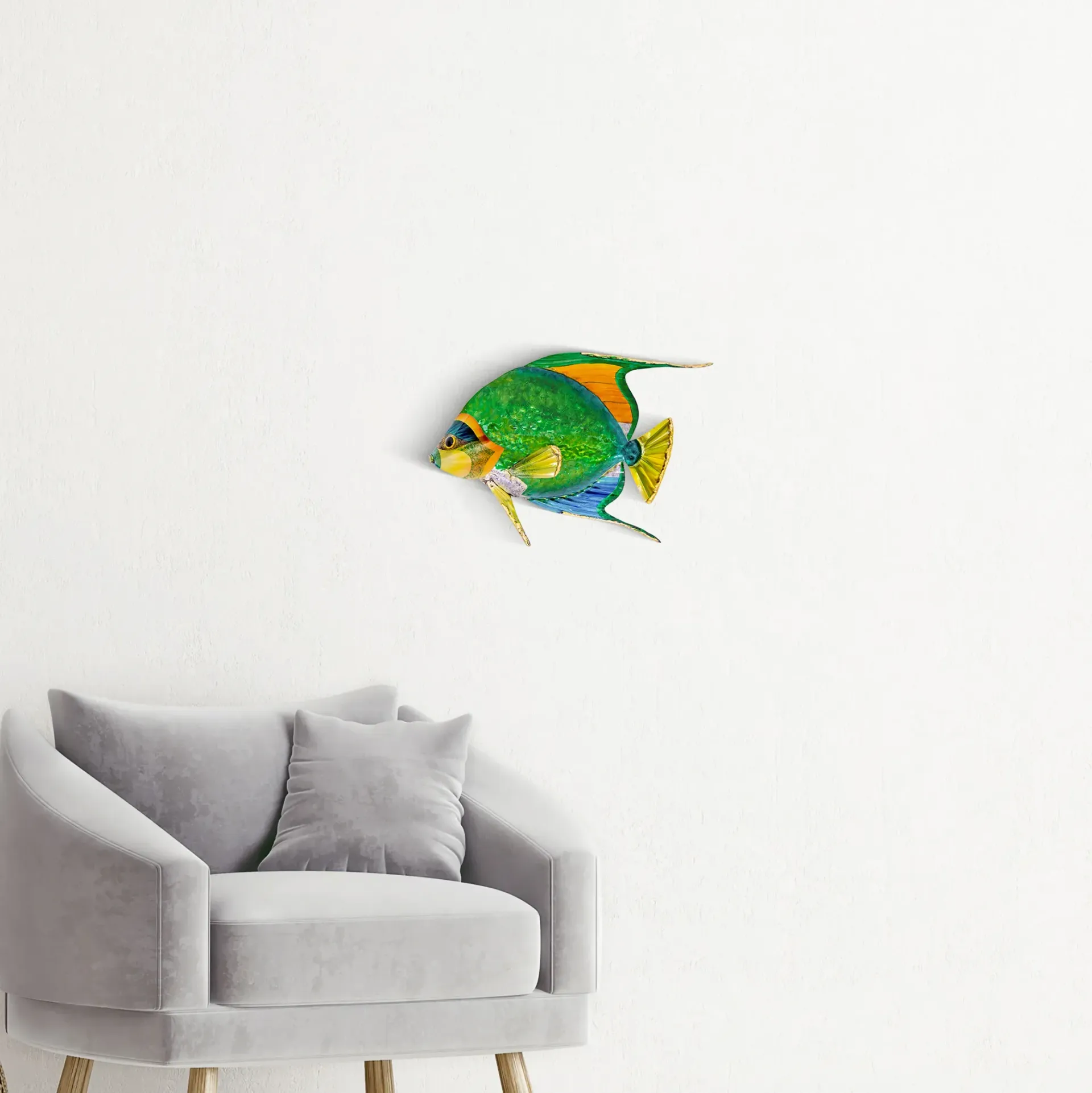 Queen Angelfish