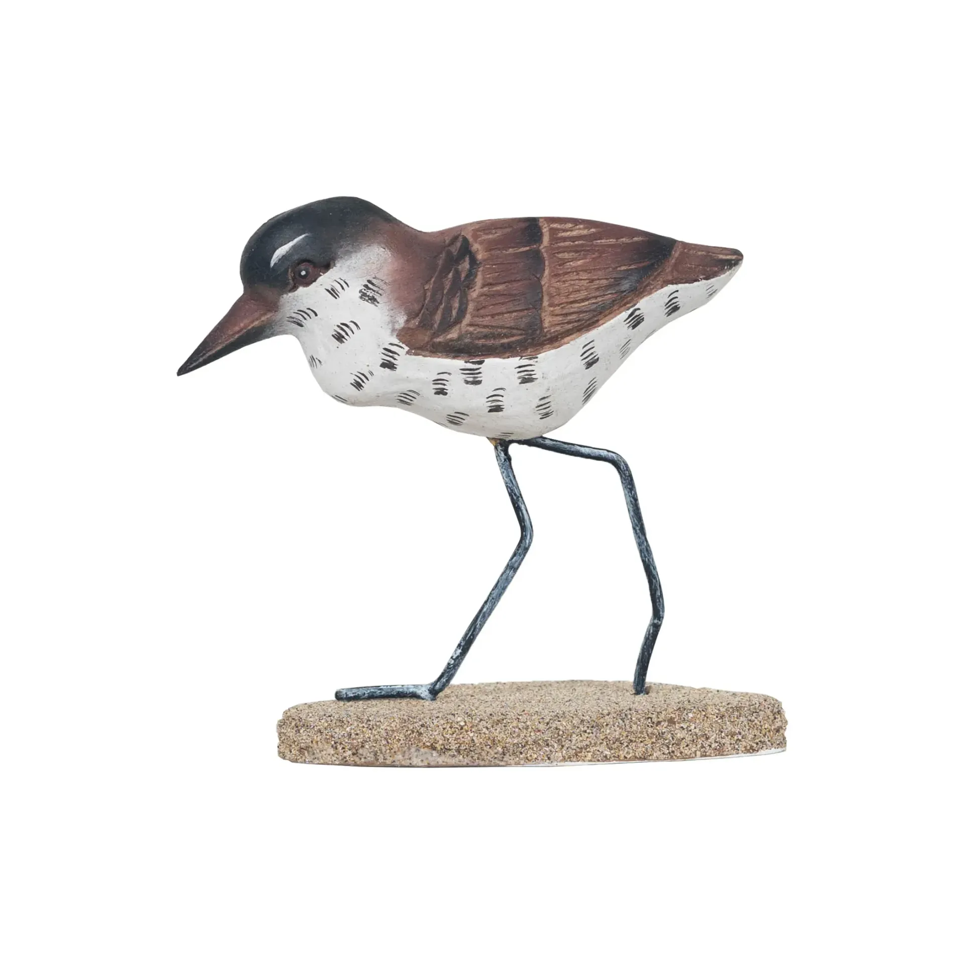 Single Sandpiper Standing