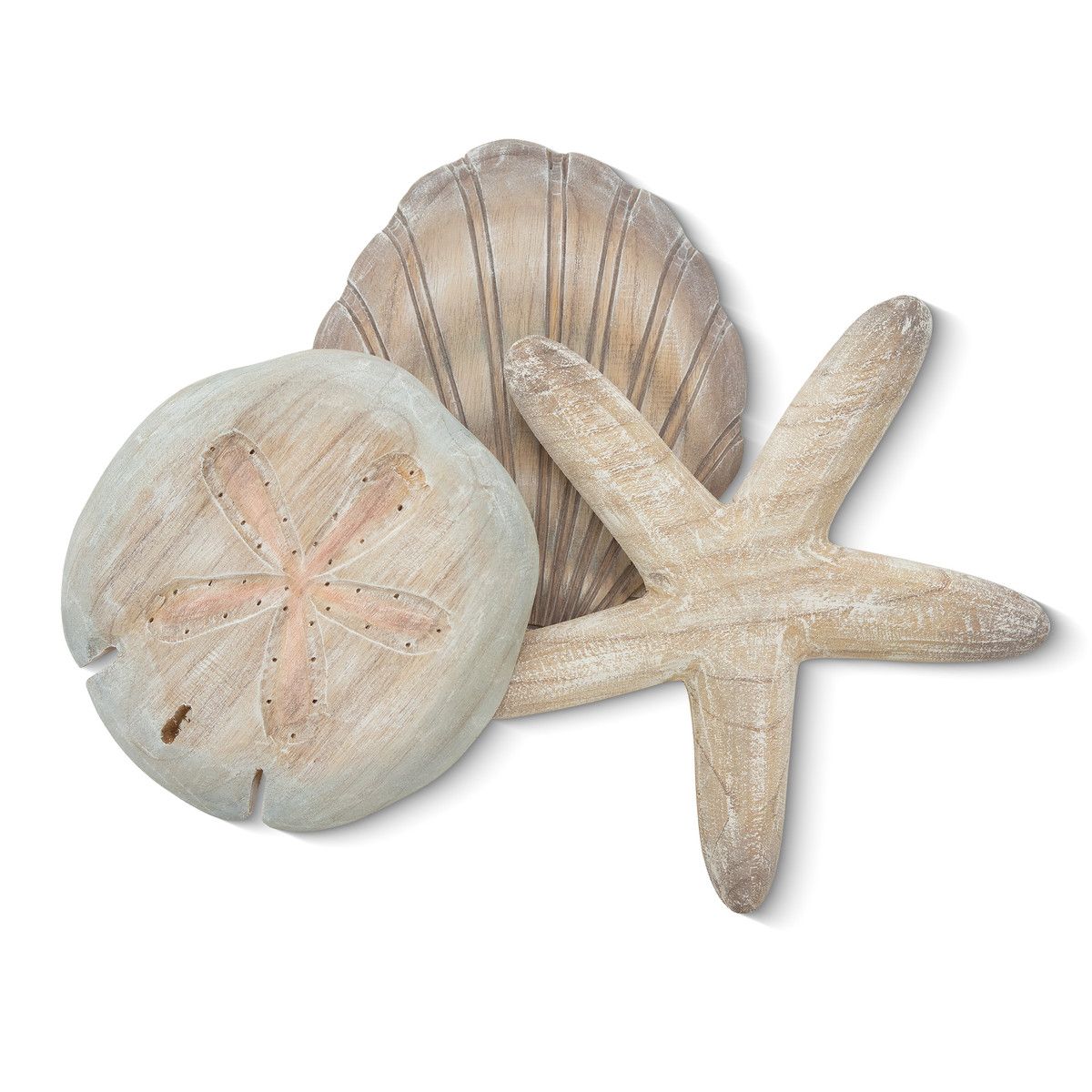 Shell Collection 1 Natural Tones (Scallop Sand Dollar Starfish)