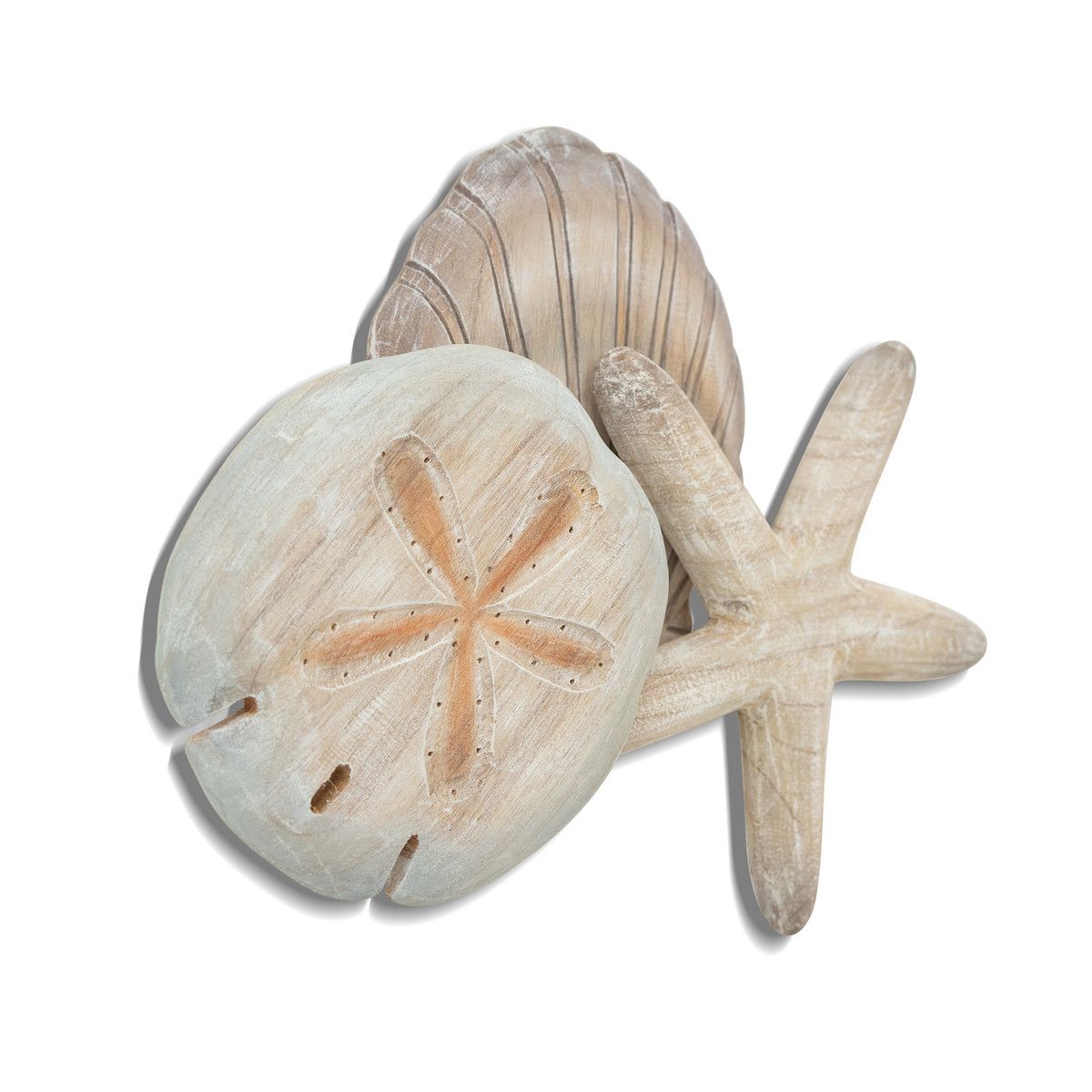 Shell Collection 1 Natural Tones (Scallop Sand Dollar Starfish)