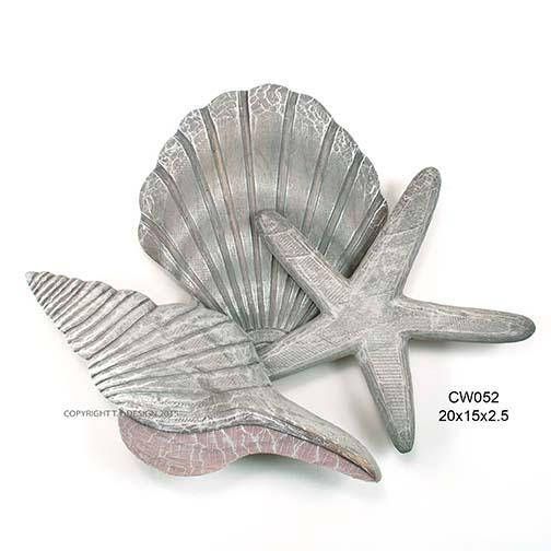 Shell Collection 2 Gray (Scallop Spindle Shell Starfish)