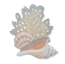 Shells and Fan Wall Decor