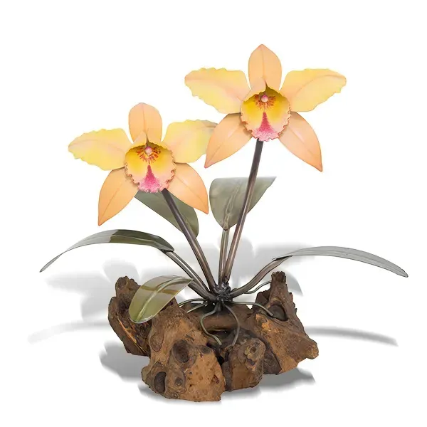 Orchid Tabletop on Gamal Root Base Soft Orange
