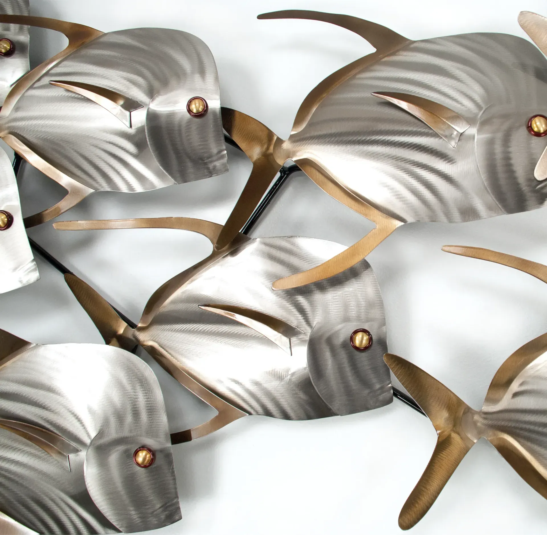 Lookdown Fish School XL