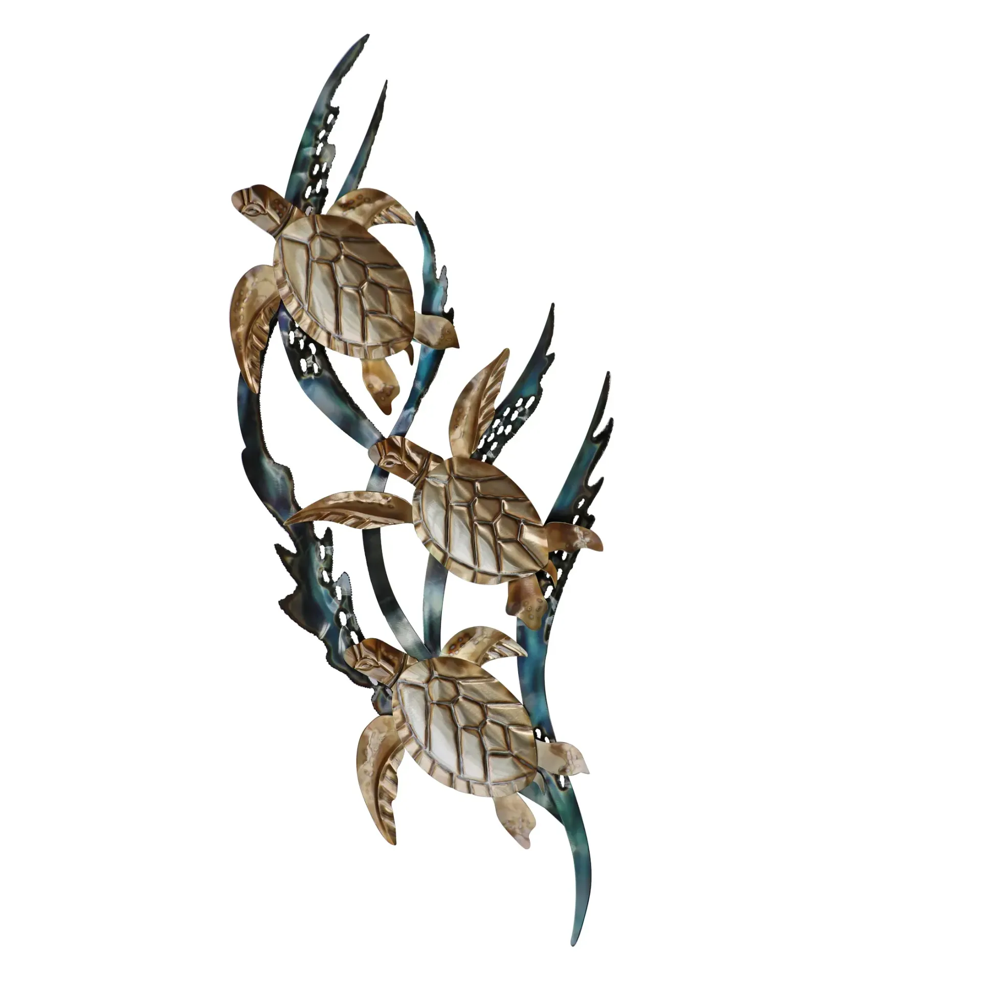 Sea Turtles Kelp