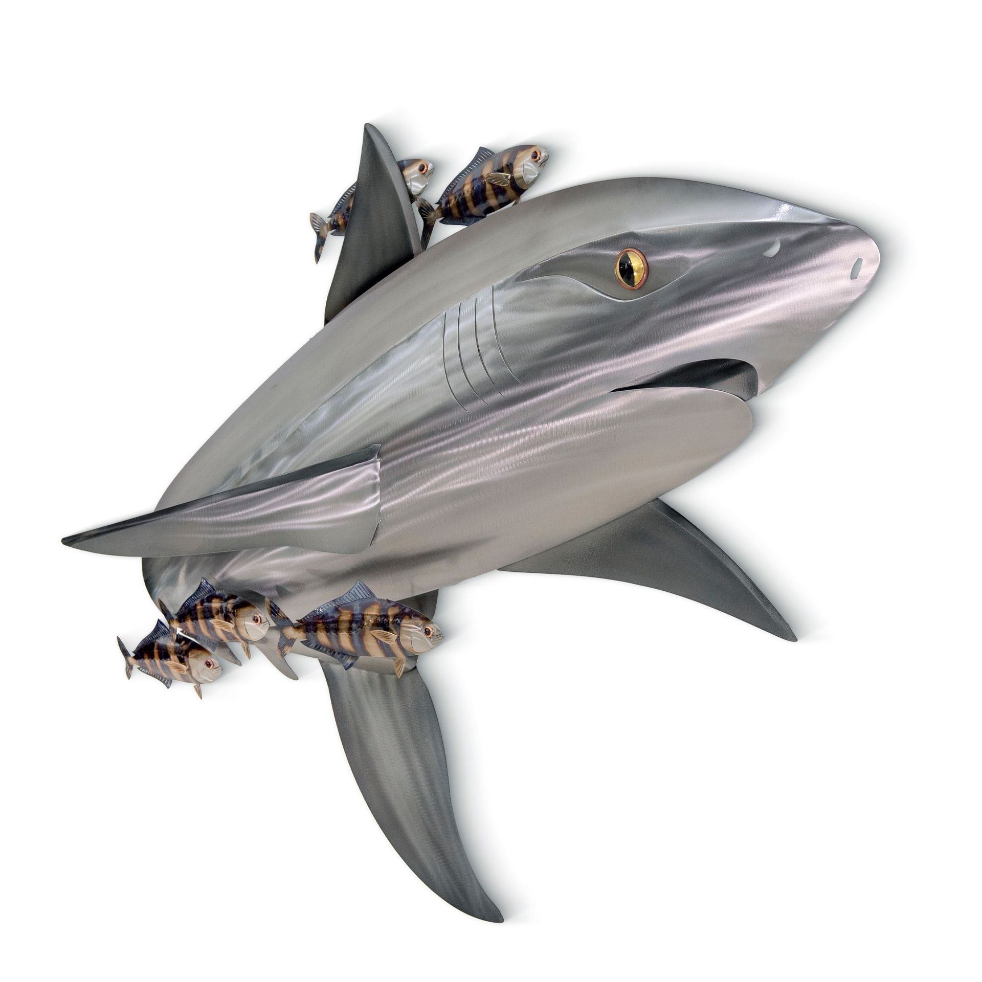 Shark And Friends