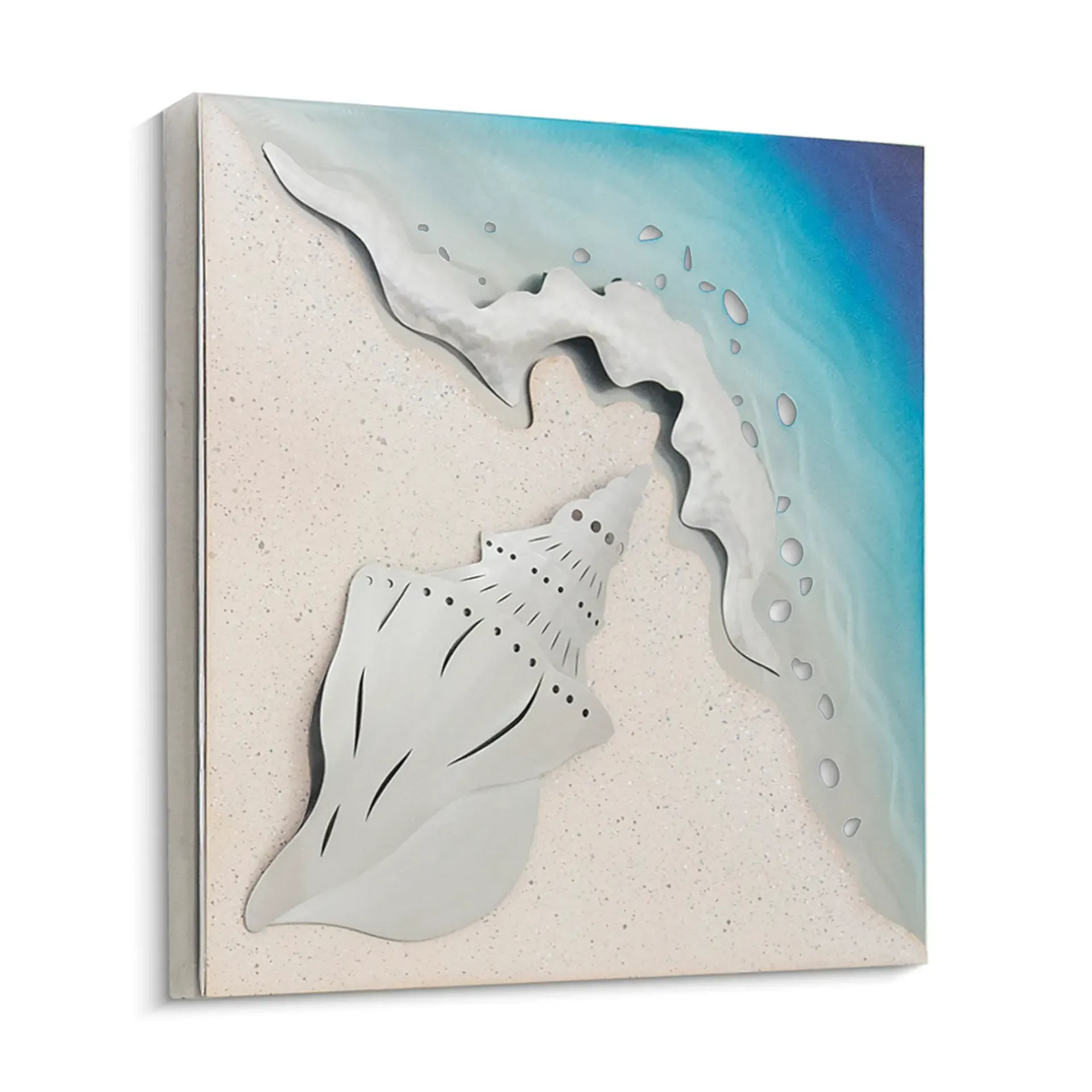 Conch Shell on Square