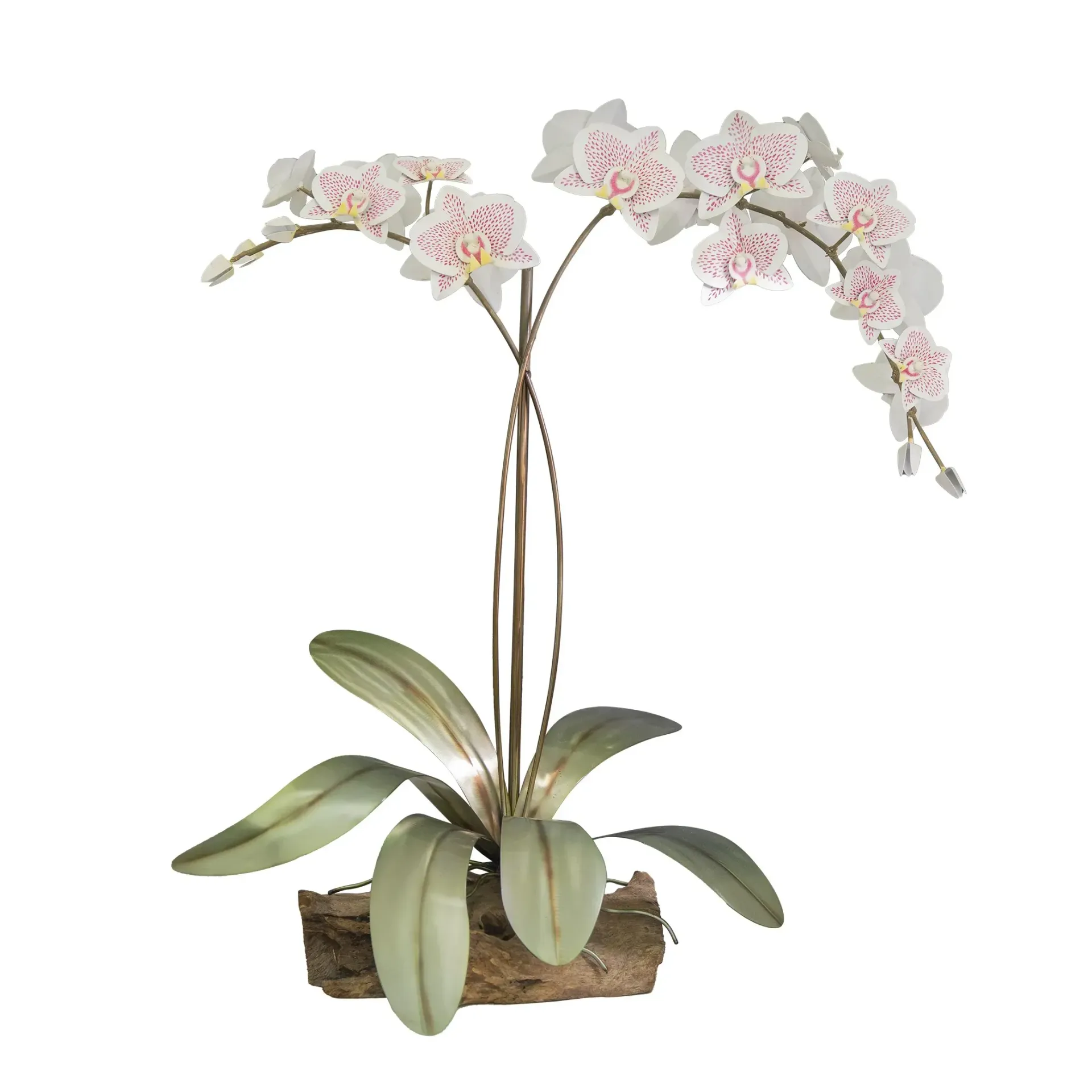 Phalaenopis Orchid Tabletop Gamal Wood Base