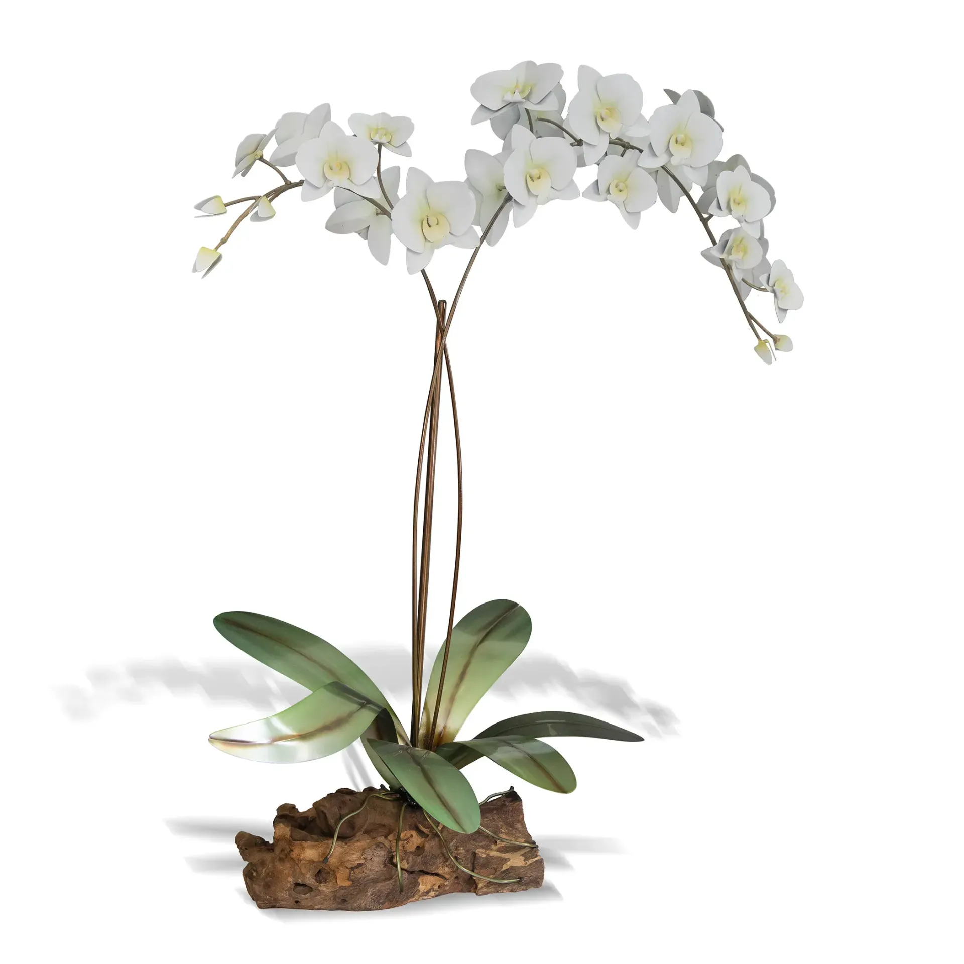 Phalaenopis Orchid White Tabletop Gamal Wood Base