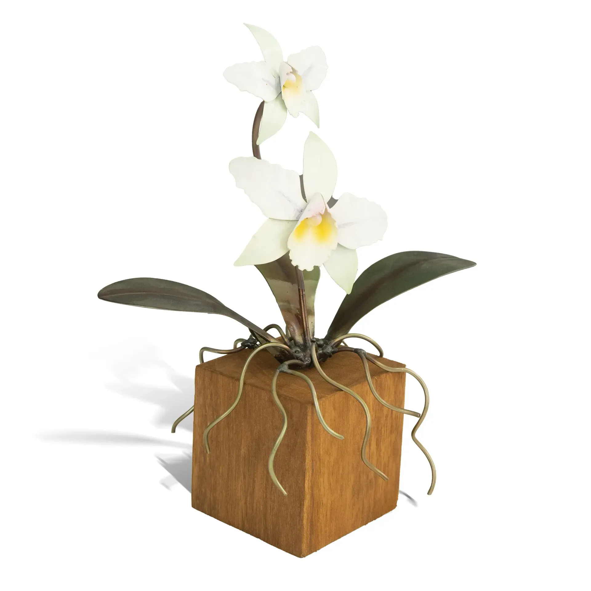 Cattleya Orchid White TableTop on Teak Base SM