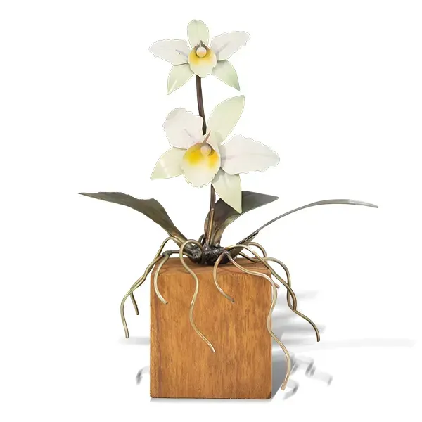 Cattleya Orchid White TableTop on Teak Base SM