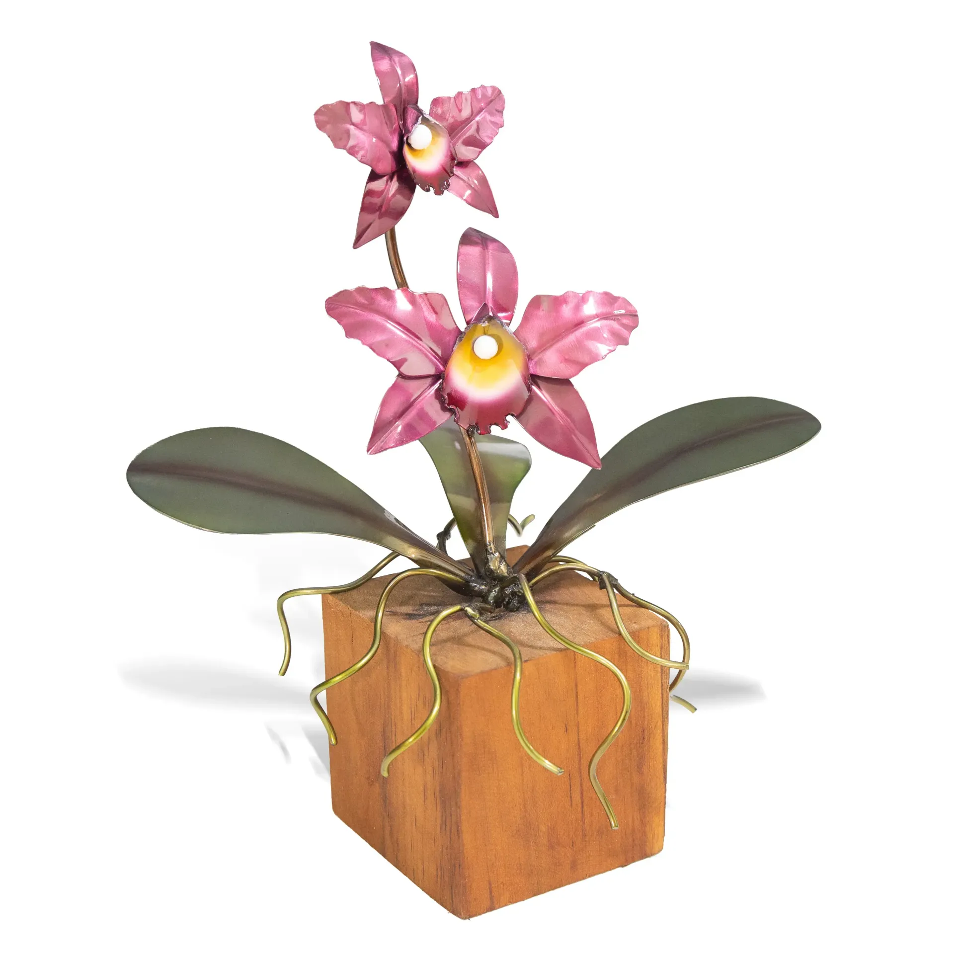 Cattleya Orchid Tabletop on Teak Base Small