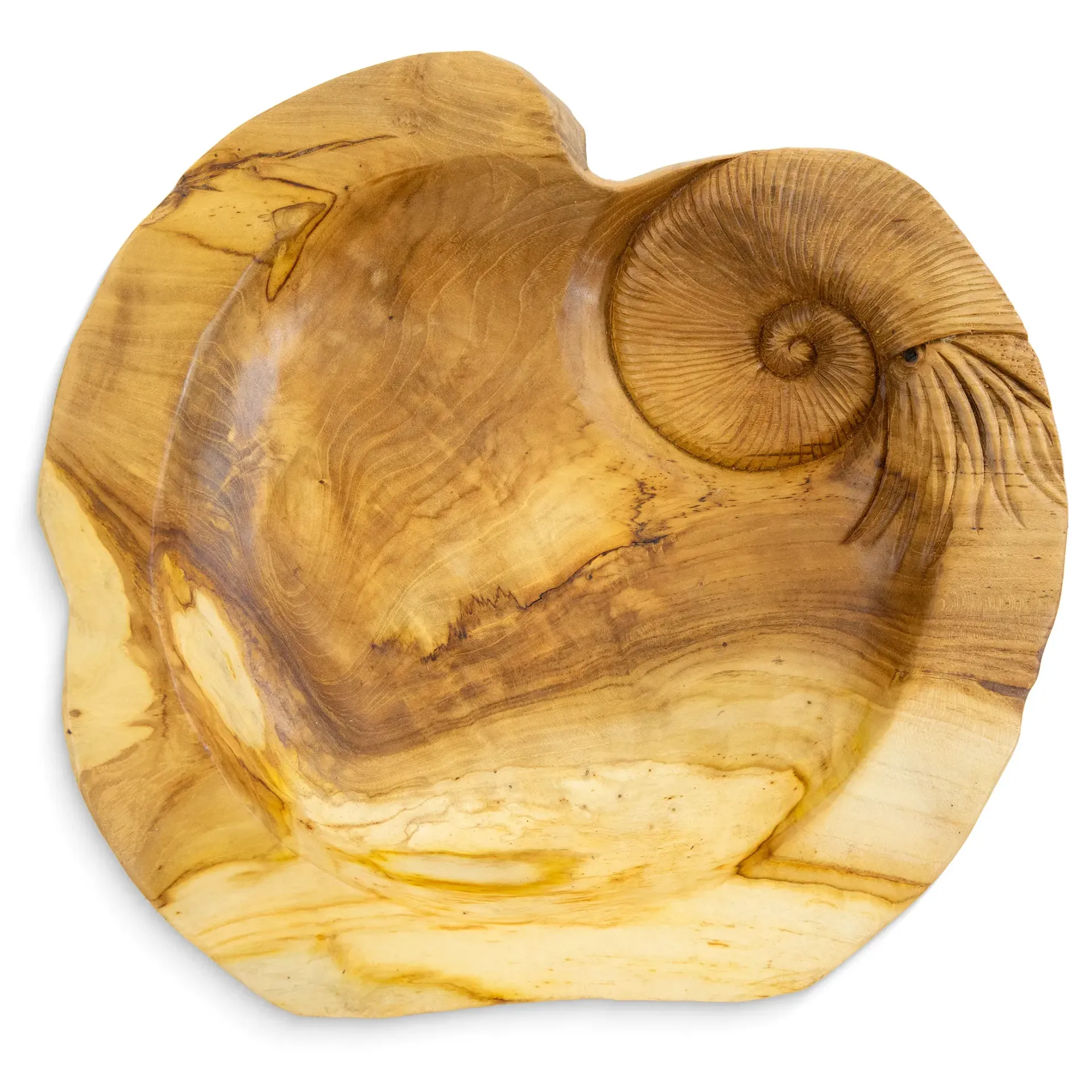 Bowl Ammonite 40cm Round Teak