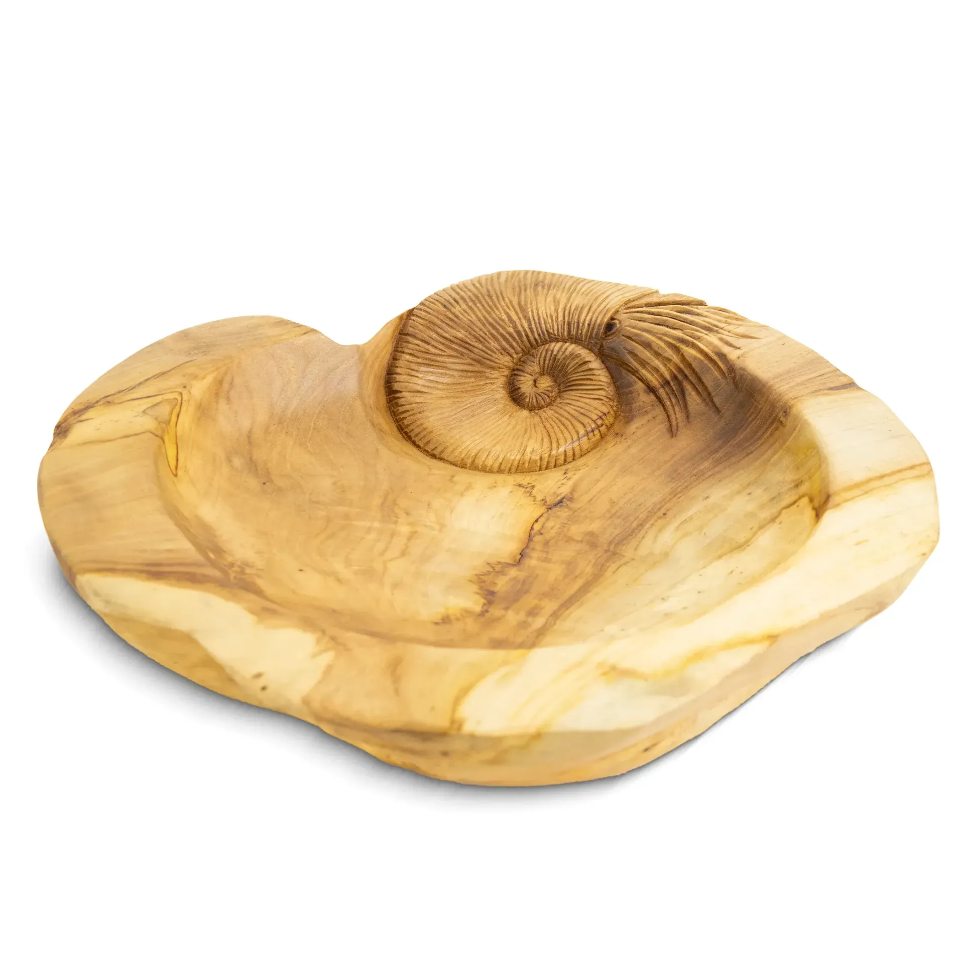 Bowl Ammonite 40cm Round Teak