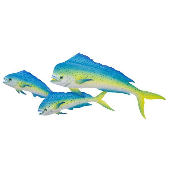 Mahi-mahi Triple (lanai Safe)