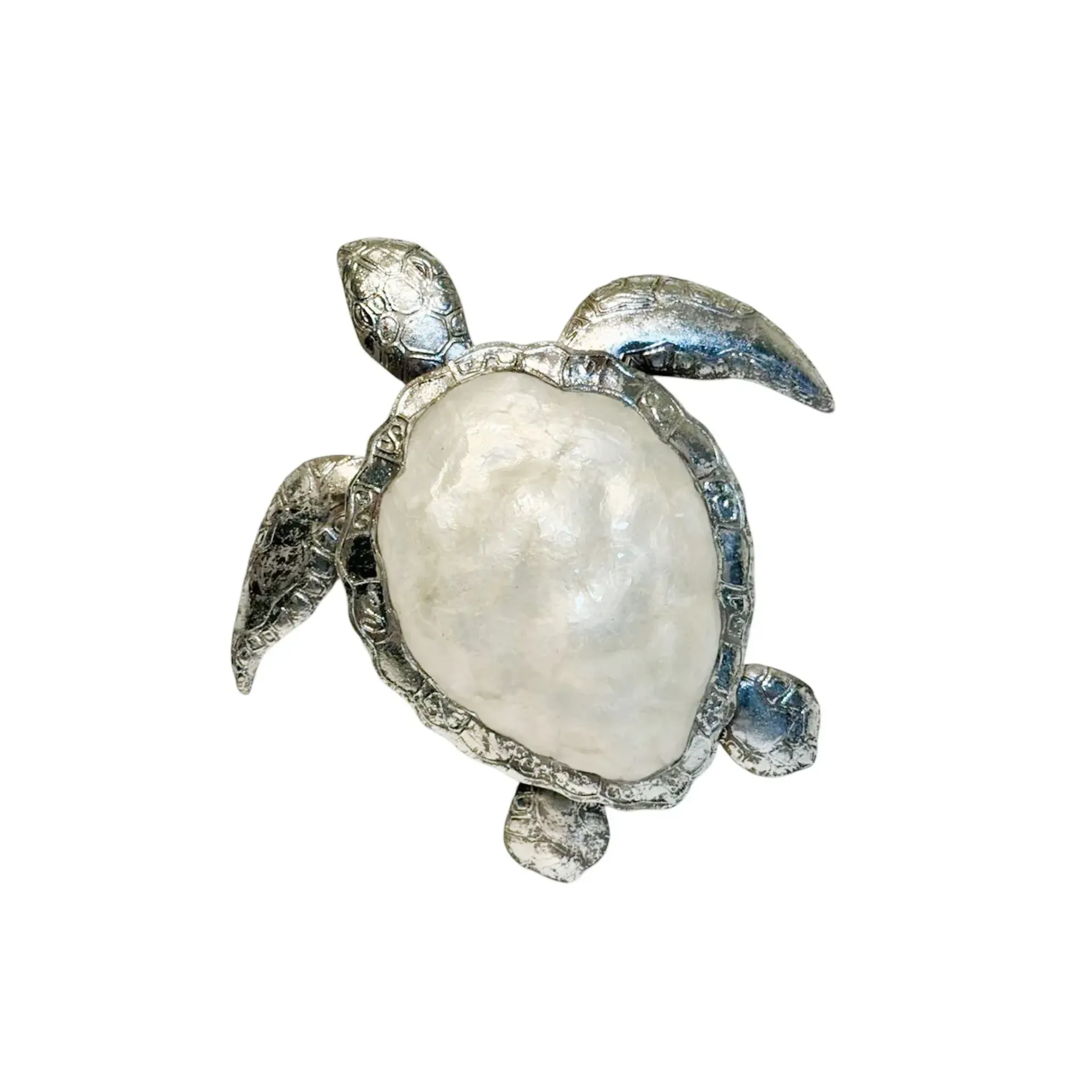 Capiz Turtle Silver Metal WD
