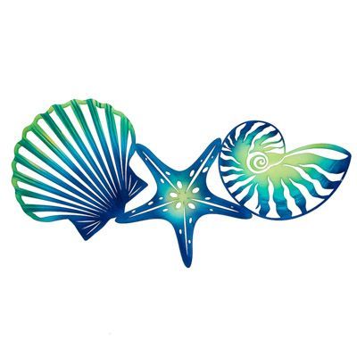 31 x 15 Inches High Powder Coated Metal Wall Seashells