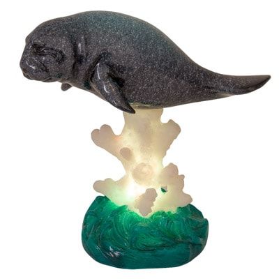Manatee Light-up