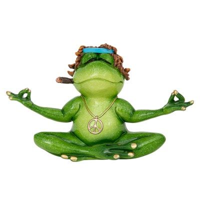 Hippie Yoga Frog