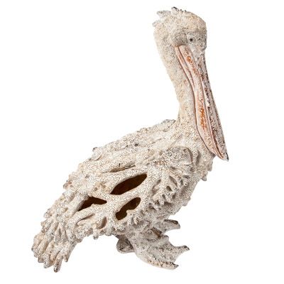 Pelican Coral
