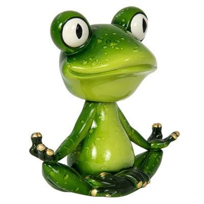 7 Inches High Assorted Yoga Frog with Moving Head