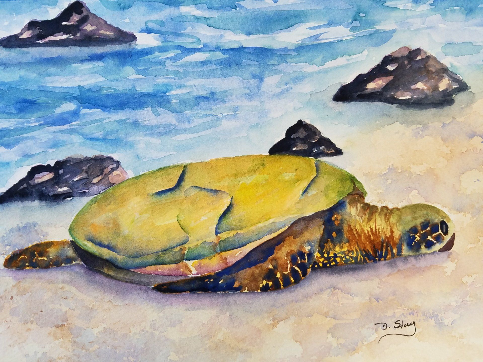 Debbie Slay | Kailua Village Artists Gallery