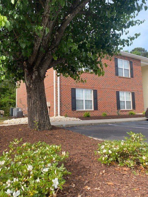 Large tree in front of brick apartment — Vernon, CT — A1 Properties