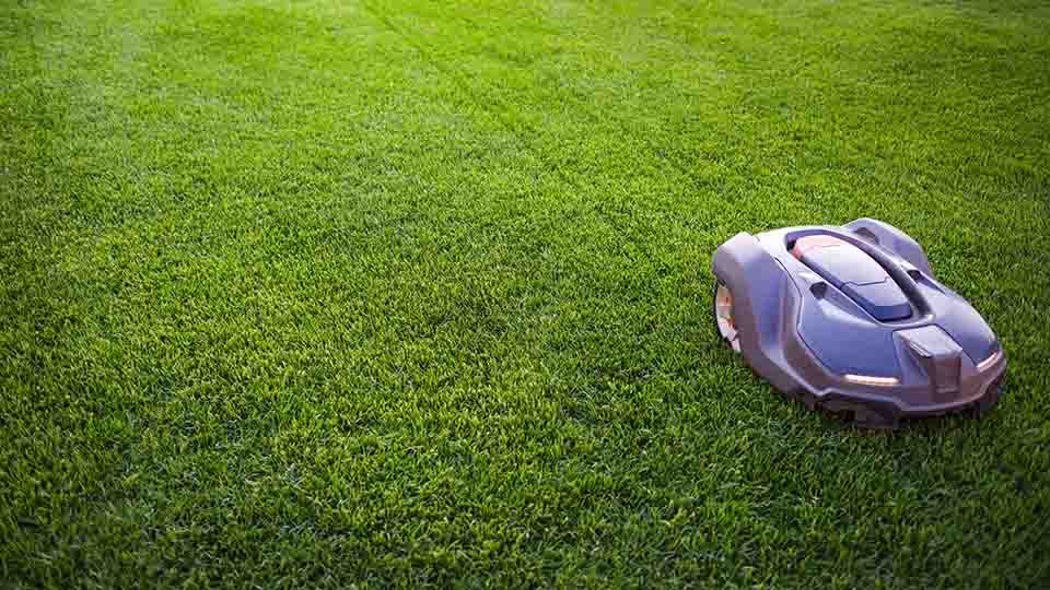 Robotic lawn mower cutting grass