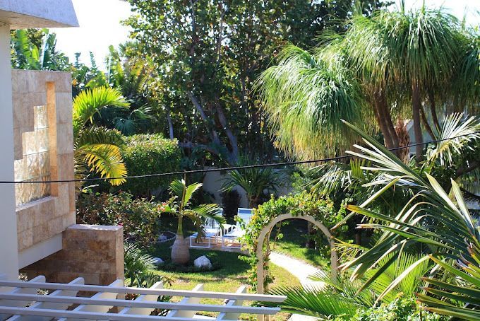 A view of a lush green garden from a balcony