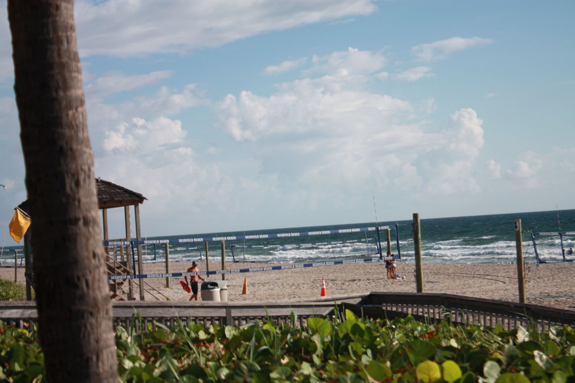 A view of a beach from behind a palm tree