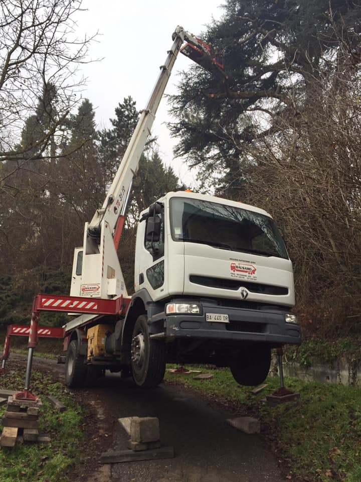 mezzo con piattaforma aerea per potature