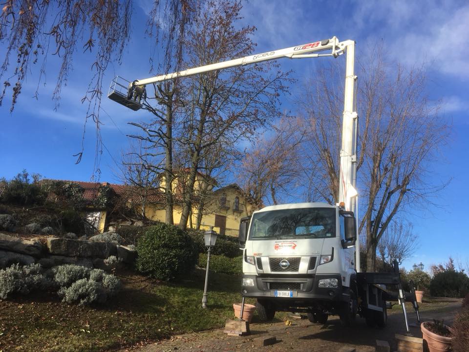 mezzo con piattaforma aerea per potatura di alberi ad alto fusto