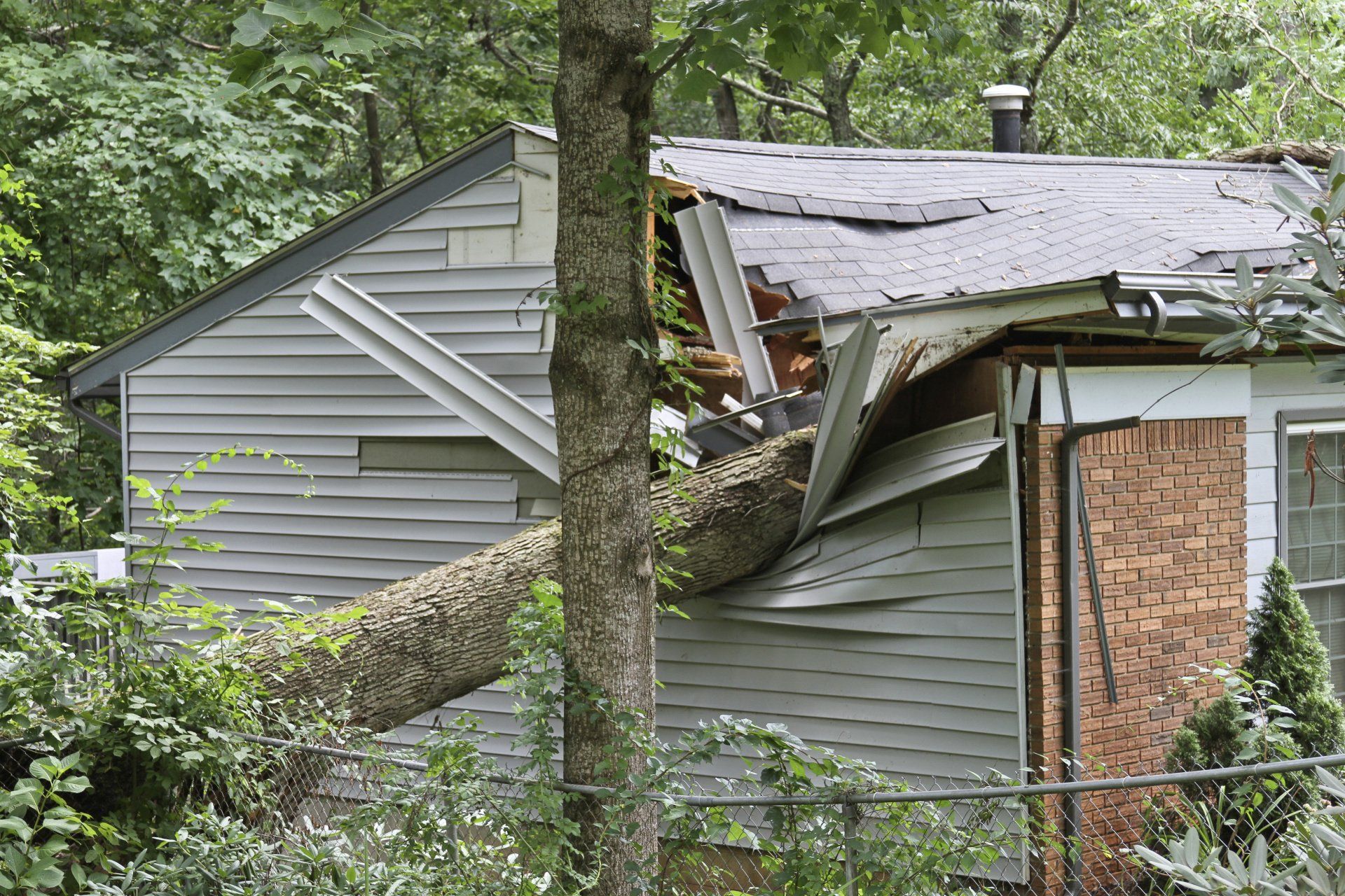 oak tree damaging home's roof