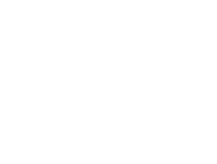 Options Mediation