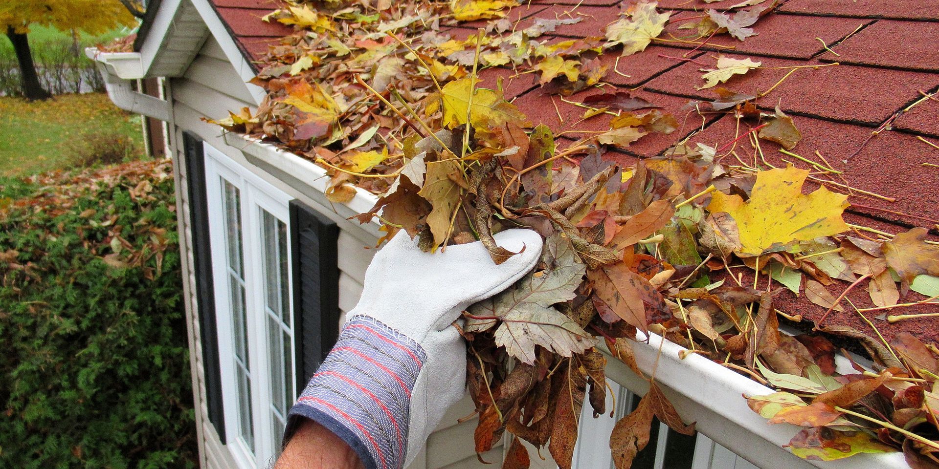 Gloved hand cleaning autumn leaves from a roof gutter on a house.