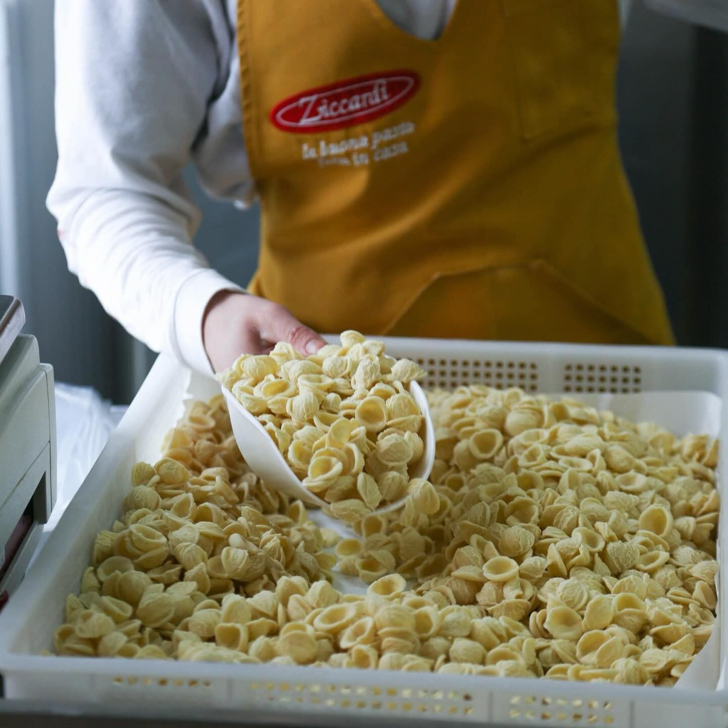 Persona che raccoglie le orecchiette da un vassoio con un cucchiaio, indossando un grembiule.