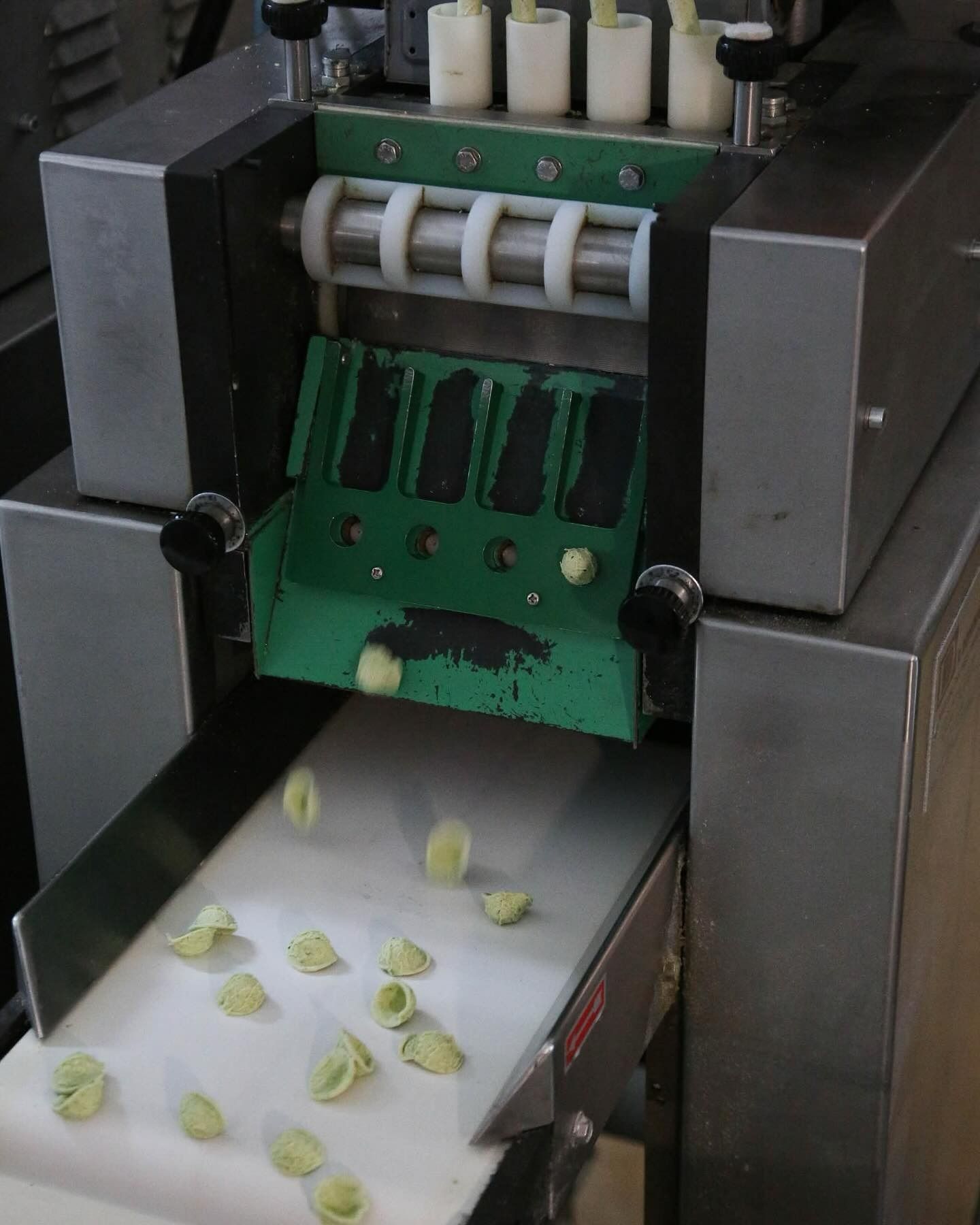 Macchina per la pasta che distribuisce i tortellini verdi su un nastro trasportatore.